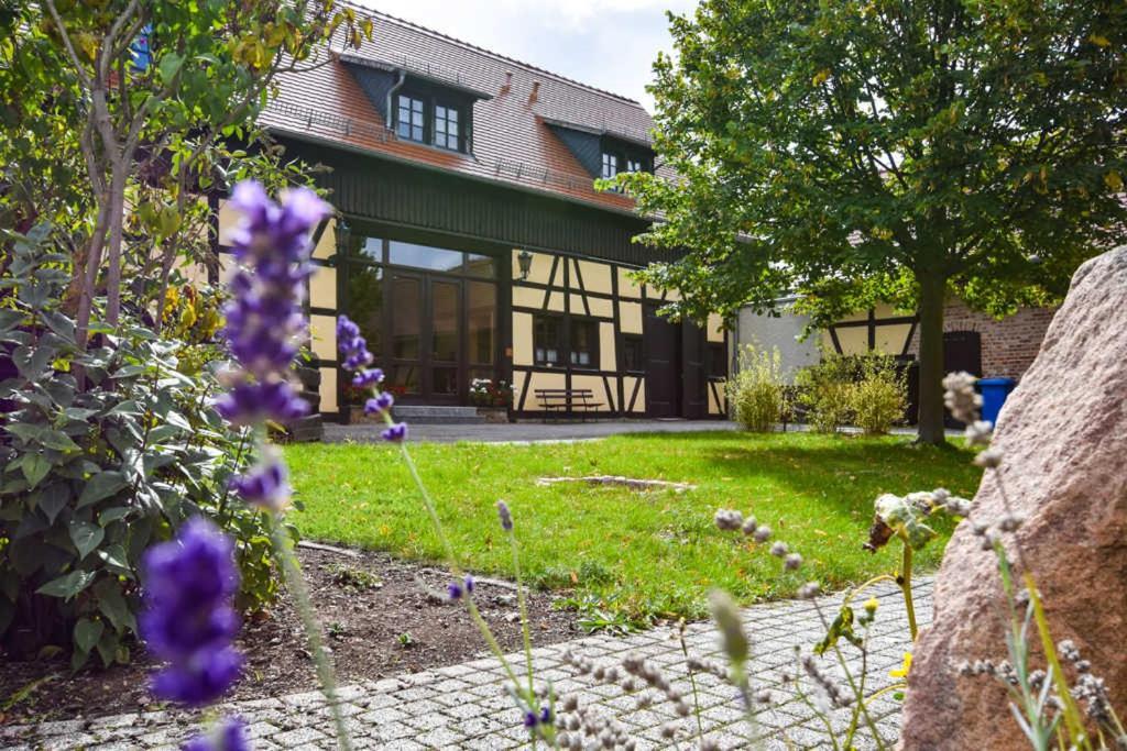 Lavendelhof Die Idyllische Landpension Crimmitschau Zewnętrze zdjęcie